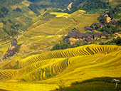 Rice Terraces of Guilin, Longsheng County