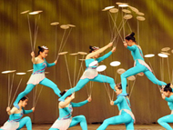 Do You Want to See the Evening Shows in Shanghai?