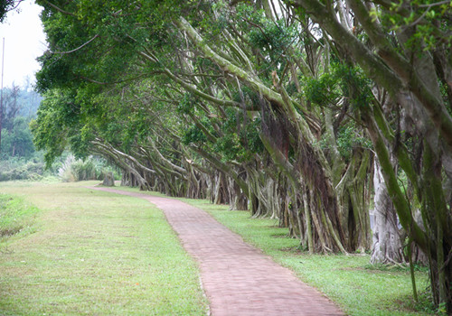 Beautiful environment of Zhanjiang