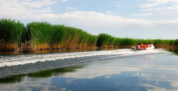 Lotus Lake in China's Xinjiang